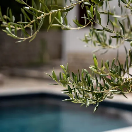 Pag Dubrava Relax With Pool *