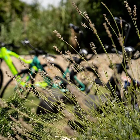 Pag Dubrava Relax With Pool וילה *