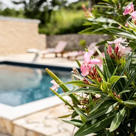 Pag Dubrava Relax With Pool Dom wakacyjny Bosana