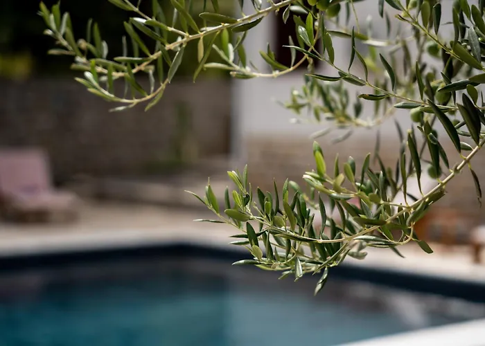 Pag Dubrava Relax With Pool *