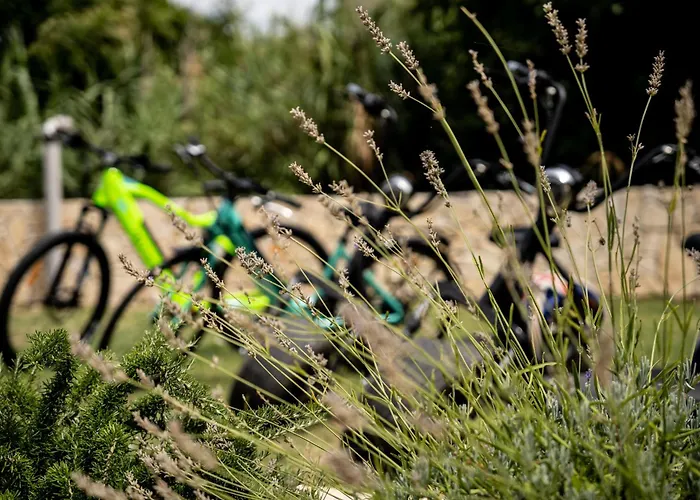 Pag Dubrava Relax With Pool Villa *